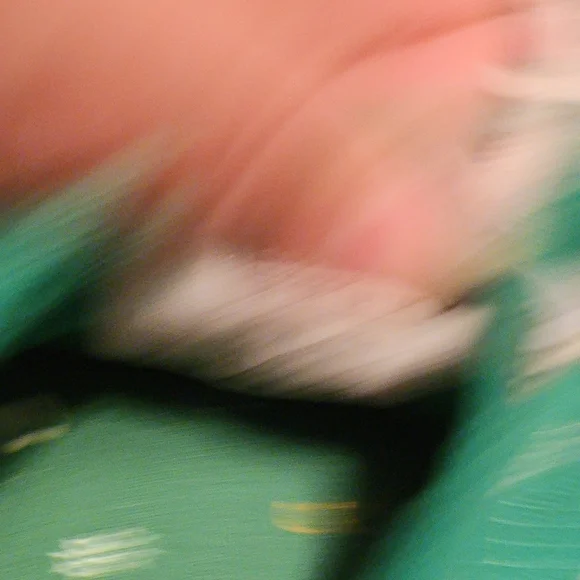 Sperry Green Canvas Sneakers - Picture 4 of 5